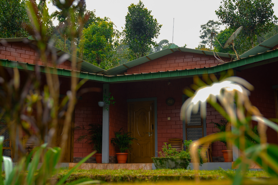 Best budget homestay in Coorg offering comfort and nature