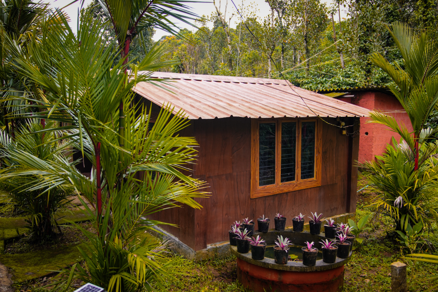 Lush green plantation view from luxury homestay in Coorg