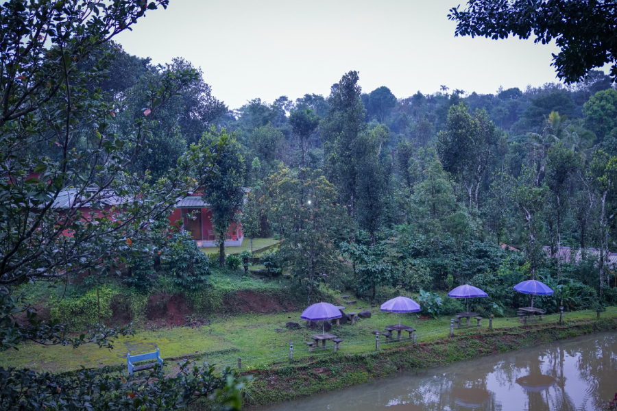 Luxury Homestay in  Coorg