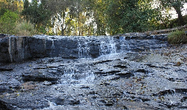 best homestay in Coorg