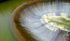 Plantation Homestay Coorg