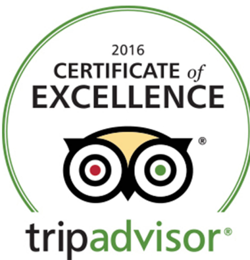 TripAdvisor