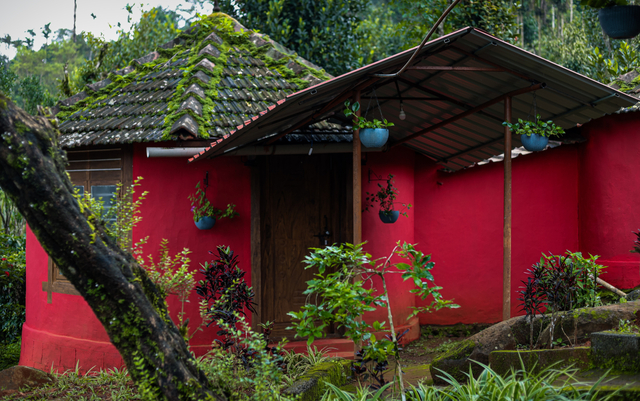 Plantation Cottage room with modern amenities at Yedamakky Plantations