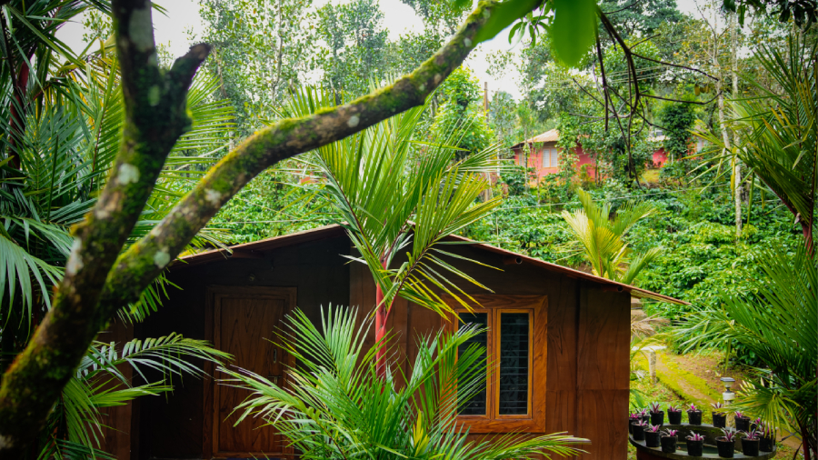 Village Hunt rooms in Coorg