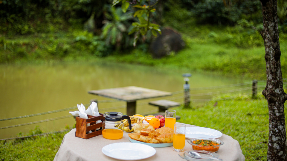 Best homestay in Coorg with scenic plantation views