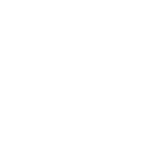Yedamakky Plantations