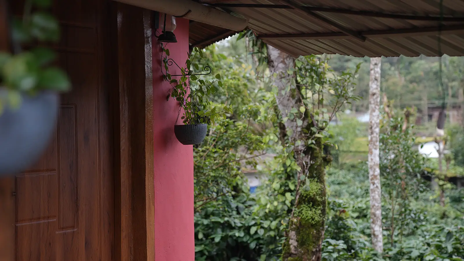 0A Room – Plantation Cottage Outside1