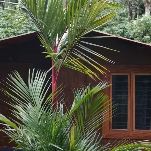 Village Hut Rooms