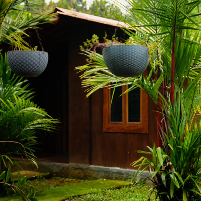 Village Hut Rooms in Coorg 4