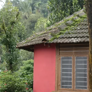 Plantation Cottage Rooms
