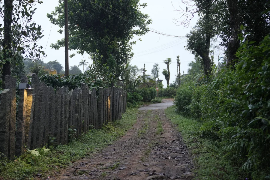 plantationwalk2
