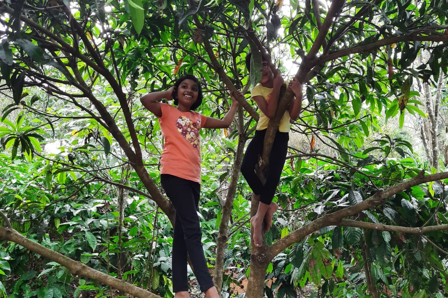 plantationwalk4